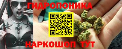 индика Комсомольск-на-Амуре