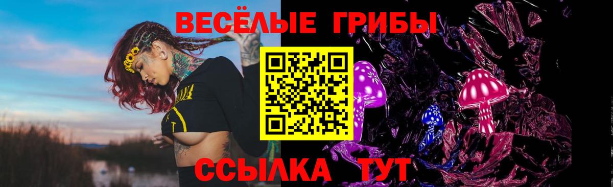 Галлюциногенные грибы Psilocybe  Вход с VPN  купить   Канск 
