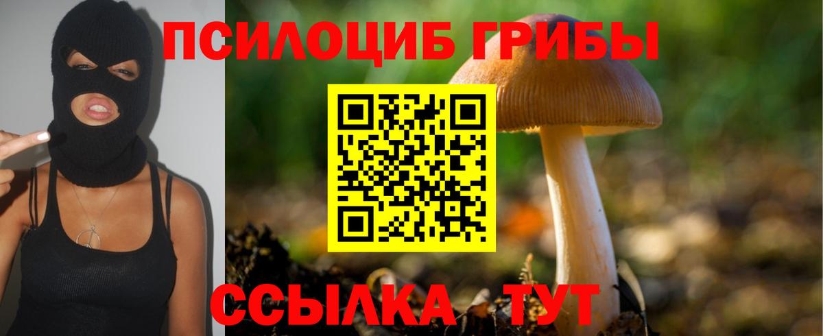 Галлюциногенные грибы прущие грибы Канск