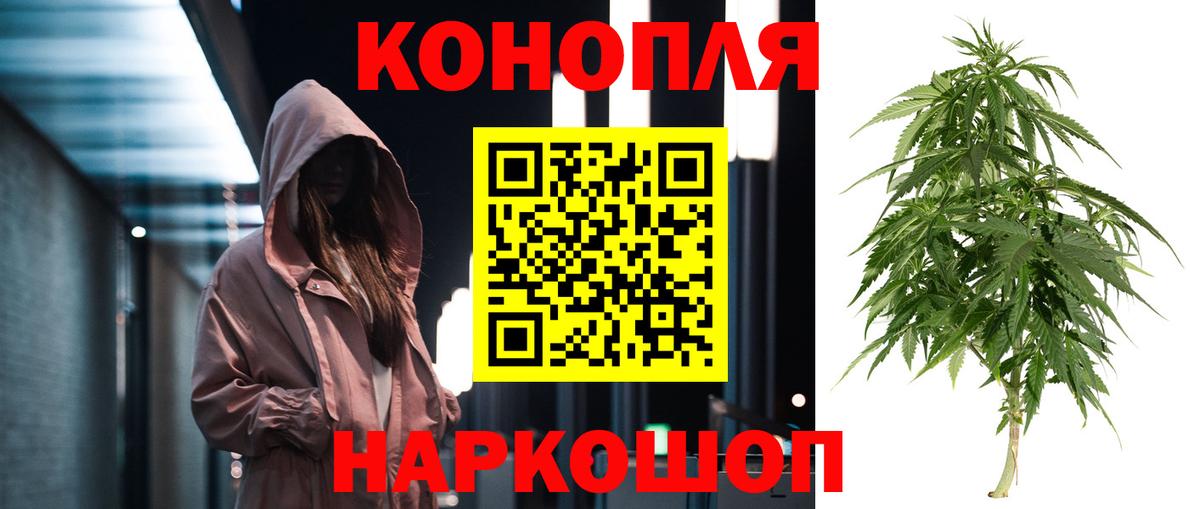 Шишки марихуана сатива Канск